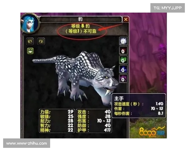 魔兽世界怀旧服:宠物记忆技能重现,探索失落的回忆 魔兽世界怀旧服:宠物记忆技能重现,探索失落的回忆